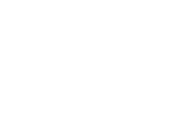 Handgezeichnetes Gehirn mit Begriffen wie Sorgen, Angst, Traurigkeit, Stress und Schlafstörungen.